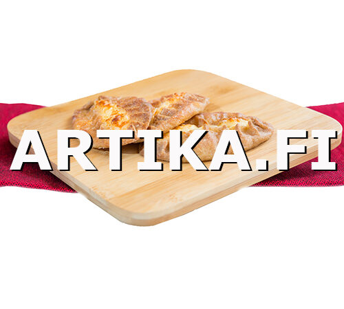 logo piiras Artika web